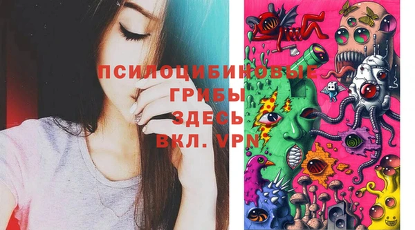 бошки Володарск