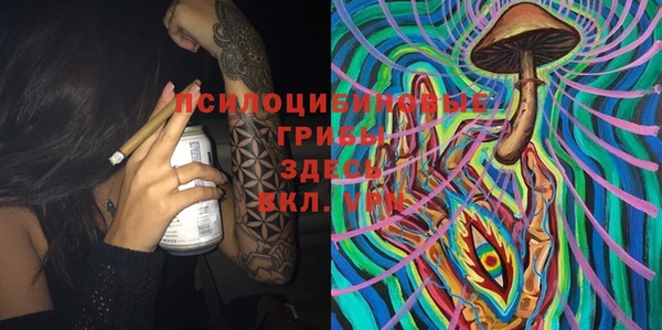 шишки Волоколамск