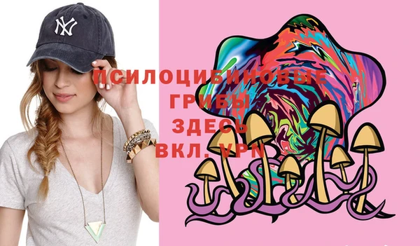 бошки Володарск