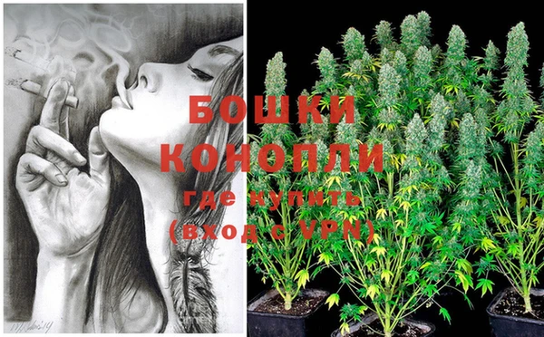 шишки Волоколамск